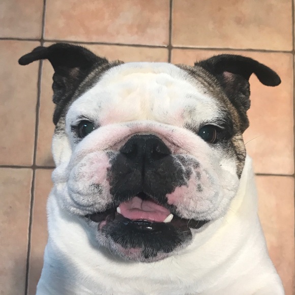 Profile Picture of Meg Anderson (@meganderson318) on Poshmark