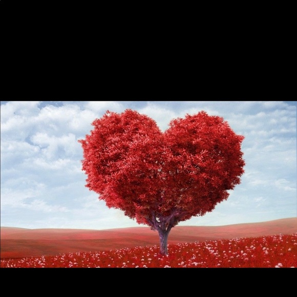 Profile Picture of Laticia Moore (@lhm556) on Poshmark