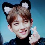 Fatima/ - Instagram Profile Picture of Fatima/ (@seventeen._joshua_) on Instagram