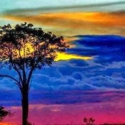 Profile Picture of Alexander Barrios (@barriosalex) on Twitter