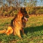 Seuba Jose Ribalta - Instagram Profile Picture of Seuba Jose Ribalta (@seubajose) on Instagram