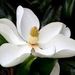 Profile Picture of Paula Mouchett (@paulamouchett) on Pinterest