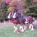 Profile Picture of Dave MacGregor (@dave.macgregor.56) on Facebook