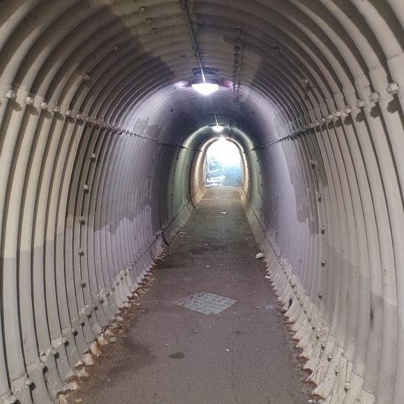 Profile Picture of B Savage (@bsavage3440) on Poshmark