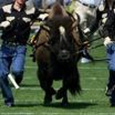 Profile Picture of Randy Branham (@buffalobeach) on Twitter