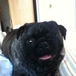 Michelle Pavick - Instagram Profile Picture of Michelle Pavick (@michelle.pavick2018) on Instagram