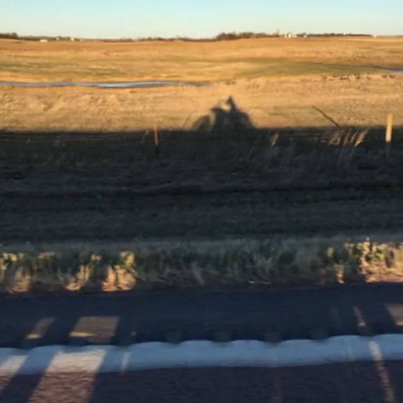 Profile Picture of Alex Caba (@acaba02) on Poshmark