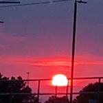 Profile Picture of Aimileah Koutsoukalis (@aim_blogs) on Instagram