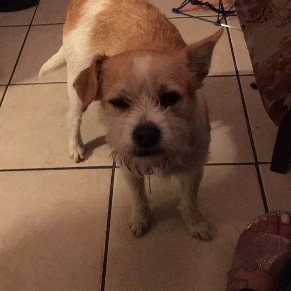 Profile Picture of Anna Raygoza (@anna196217) on Poshmark