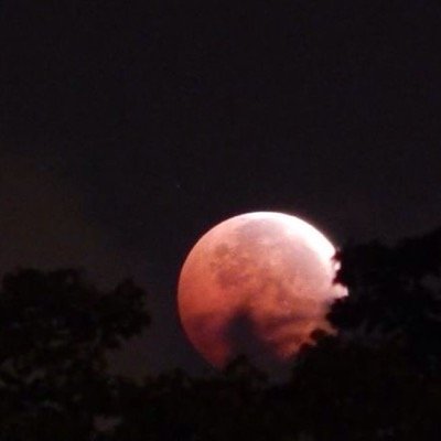 Profile Picture of Mike Comeaux (@comeaux_mike) on Twitter