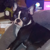 Profile Picture of James Vestal (@Hairyhothuskyman) on Youtube