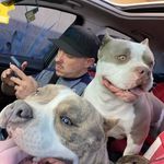 Profile Picture of Stephen Hafner (@hafnerstephen) on Instagram