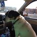 Profile Picture of Steve McGill (@steve.mcgill.7777) on Facebook