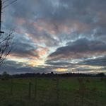 Profile Picture of Felix Galloway (@felix_._galloway) on Instagram