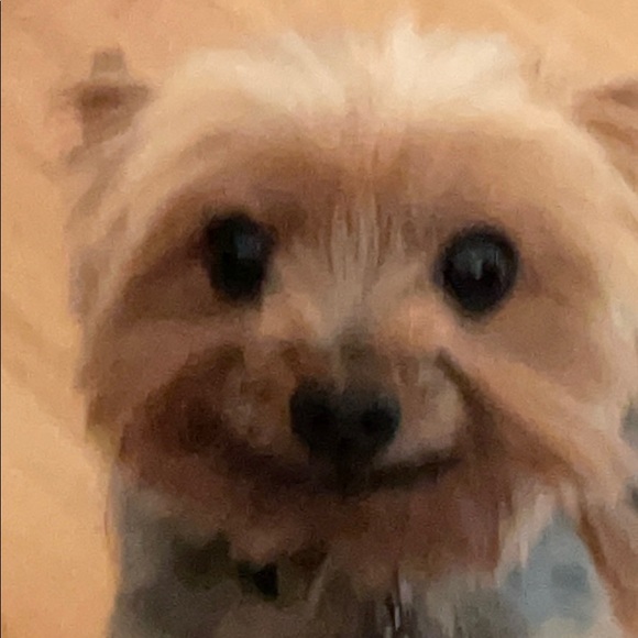 Profile Picture of Pedro Colón (@natiti1074) on Poshmark