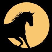 Profile Picture of McMahon Bloodstock (@mcmahonbloodstock) on Youtube