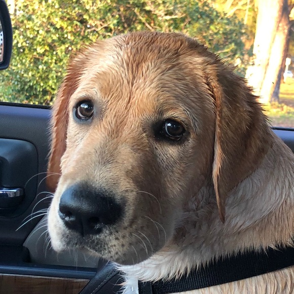 Profile Picture of Mark Vereen (@markvereen) on Poshmark