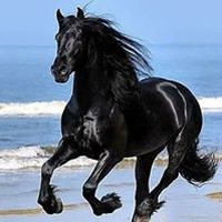 Profile Picture of Silvia Rivas (@silvia-rivas-1) on Quora