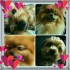 Profile Picture of Amanda Tsai (@@31764360345) on Tiktok
