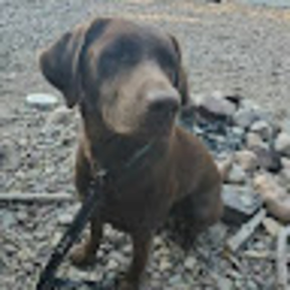 Profile Picture of Jordan Longfield (@jordanlongfield) on Poshmark