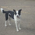 Profile Picture of James Werkmeister (@werkmeisterjames) on Instagram