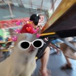 Profile Picture of Jeff Low Zhi Xian (@jefffflow) on Instagram