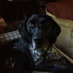 Profile Picture of James Mellott (@jamellott) on Instagram