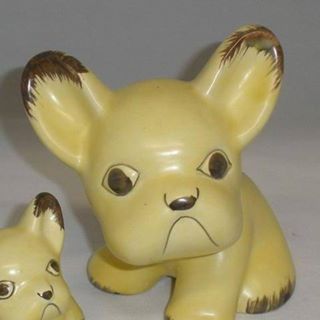 Profile Picture of Bennie Beanie (@Bennie-Beanie) on Facebook