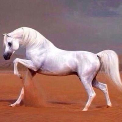 Profile Picture of فهد العبيد (@Fahd_Obaid) on Twitter