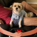 Profile Picture of Pam Shinn (@shinnpam) on Instagram