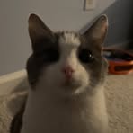 Profile Picture of James Thang (@James-Thang) on Facebook