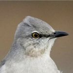 Profile Picture of hilary.j.sortor (@hilary.j.sortor) on Instagram