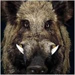 Profile Picture of Giuseppe Nesci (@giuseppe.nesci.50) on Instagram