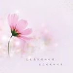 Profile Picture of Quaidian Cloud (@quaidiancloud) on Instagram
