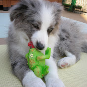 Profile Picture of Toshimitsu Arahata (@LK127) on Youtube