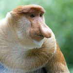 Profile Picture of christopher edenfield (@topherrrr69) on Instagram