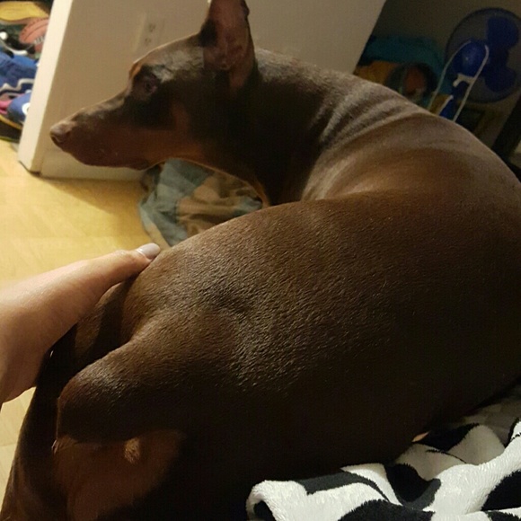 Profile Picture of Arisleyda Soto (@arisoto1230) on Poshmark