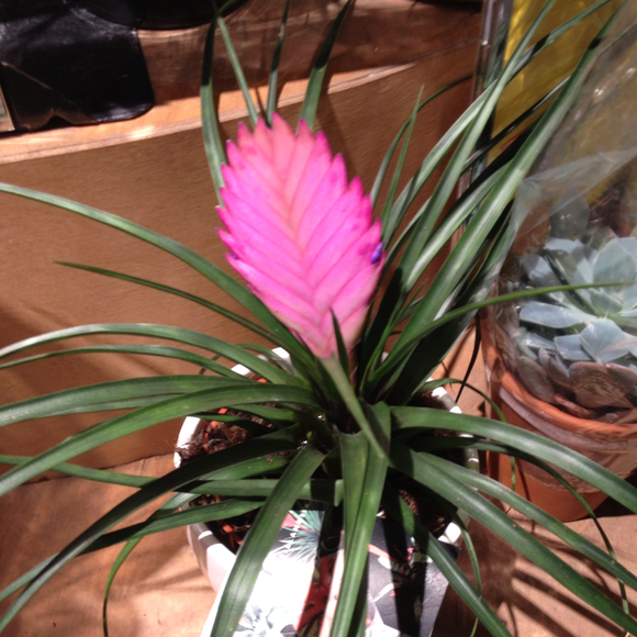 Profile Picture of Jared Robinson (@jrobins73) on Poshmark