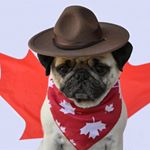 Profile Picture of Jaclyn Siegfried Weinstein (@jaclynweinstein) on Instagram