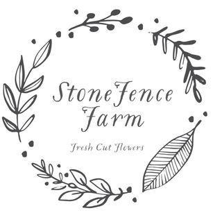 Profile Picture of Kim Hearn Hicks (@stonefencefarm_ky) on Instagram