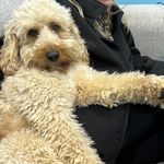 Profile Picture of John mcgowan (@john.mcgowan83) on Instagram