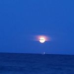 Profile Picture of Brandy Alexander (@brandy.alexander.503) on Instagram