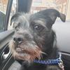 Profile Picture of Dawn Conroy (@@dawnconroy185) on Tiktok