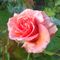 Profile Picture of Cynthia Lenton (@cynthia.lenton.1) on Facebook