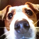 Profile Picture of Daniel.Menninger (@huhn81) on Instagram