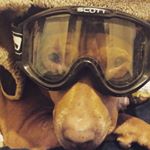 Profile Picture of Justin Ryan (@minzeyman) on Instagram