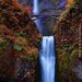 Profile Picture of Crystal Woosley (@crystalwoosley5) on Pinterest