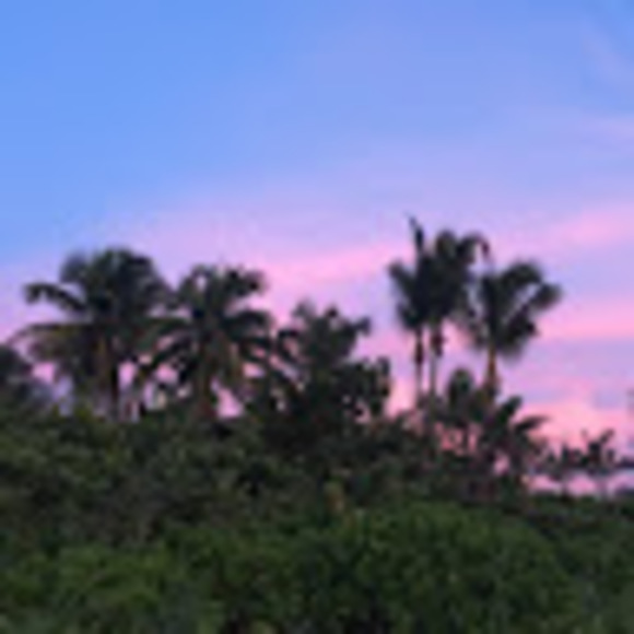 Profile Picture of Mary Belfore (@marybelfore) on Poshmark