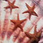 Profile Picture of Marilyn Davis (@marilynanddayna) on Flickr