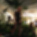 Profile Picture of Erica Penegar (@Erica-Penegar) on Facebook